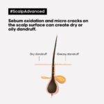 Loreal Professionnel - Scalp Advances Anti-Dandruff Shampoo - Image 3