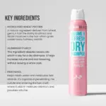 HairBurst - Volume & Refresh Dry Shampoo - Image 3