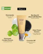 Haruharu Wonder - Black Rice Moisture Airyfit Daily Sunscreen - Image 3