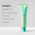 HairBurst - Exfoliating Scalp Scrub - Image 2