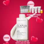 Olaplex - No.3 Hair Perfector