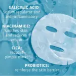 Iroha - Anti-Blemish Face Sheet Mask with Salicylic Acid - Image 2