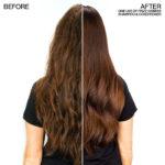 REDKEN - FRIZZ DISMISS SHAMPOO - Image 2