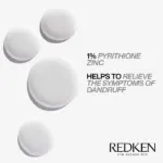 REDKEN - DANDRUFF CONTROL SHAMPOO Dermatologist-tested anti-dandruff shampoo - Image 2