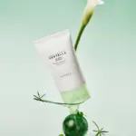 Skin1004 - Tea Trica B5 Cream - Image 4