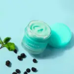 Laneige - Lip Sleeping Mask EX Mint Choco